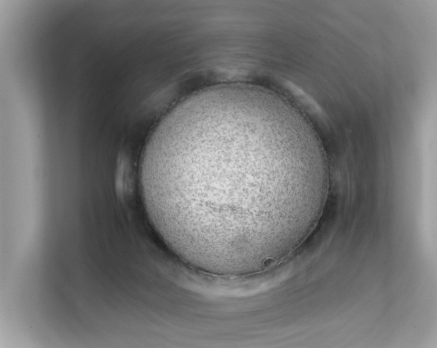 X0000111880026200907301146