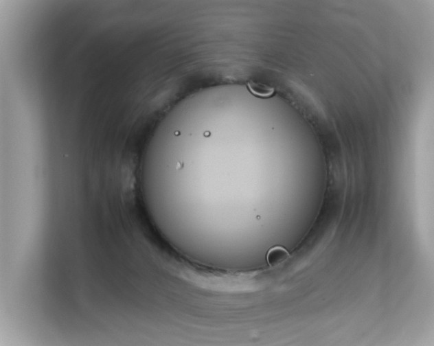 X0000111880032200907301146