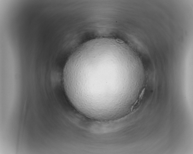 X0000111880033200907301146