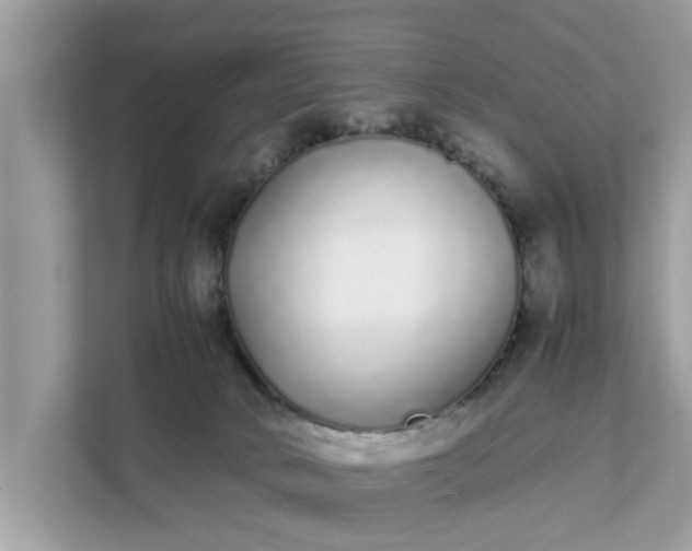 X0000111880034200907301146