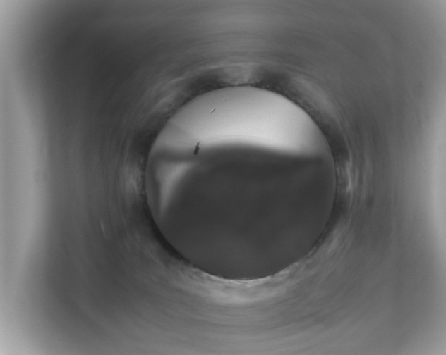 X0000111880035200907301146