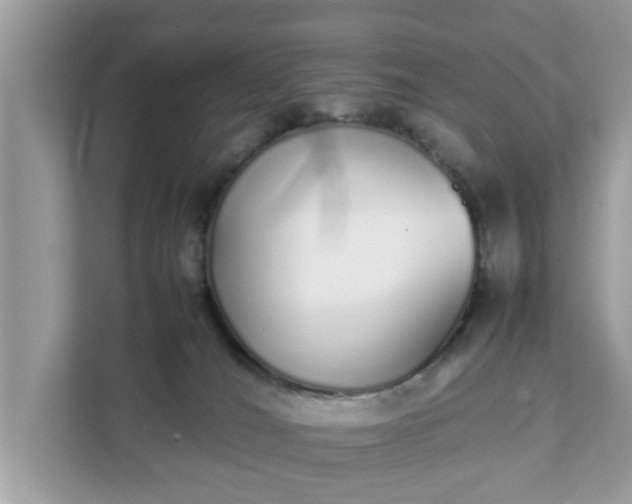 X0000111880036200907301146