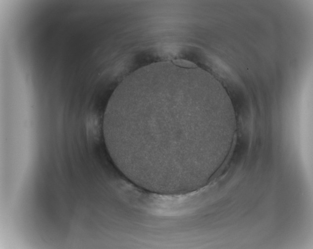 X0000111880037200907301146