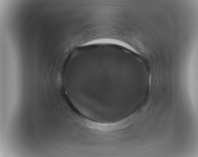 X0000111880039200907301146