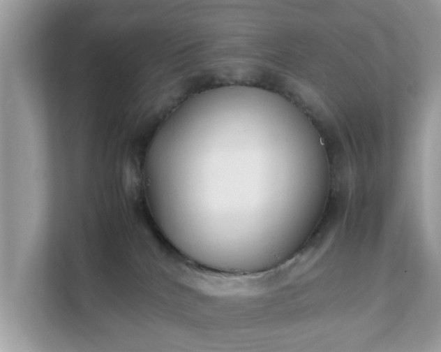 X0000111880040200907301146