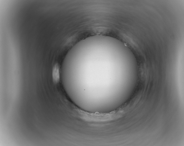 X0000111880042200907301146