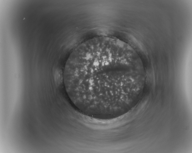 X0000111880043200907301146