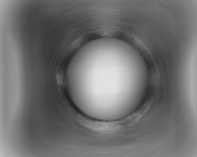 X0000111880044200907301146