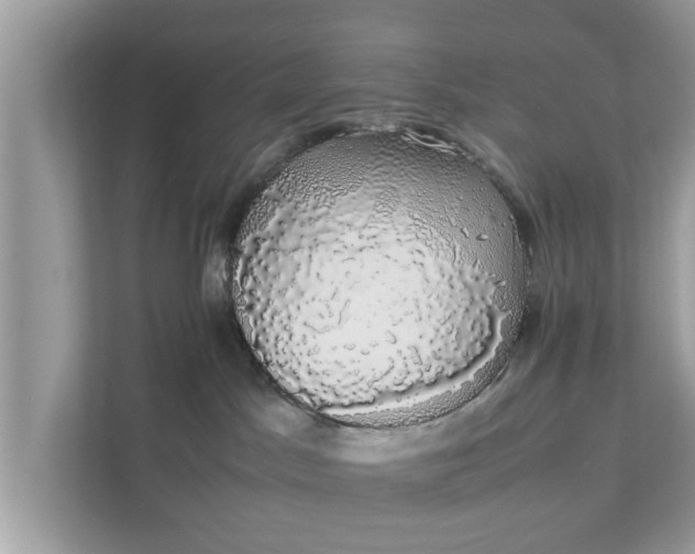 X0000111880045200907301146