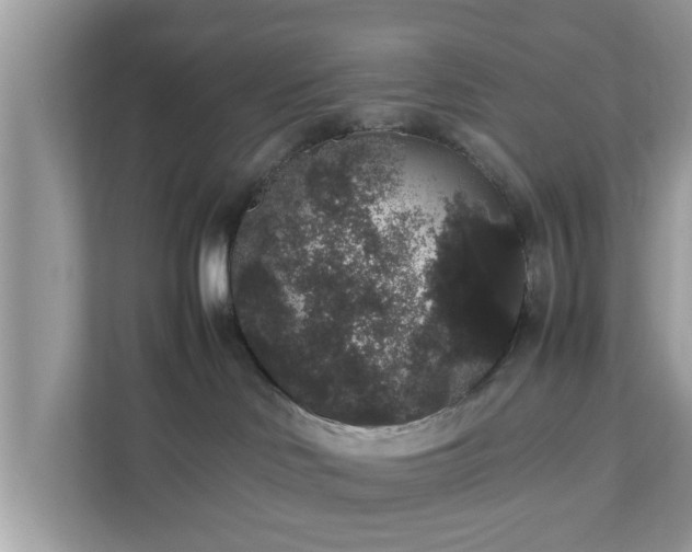 X0000111880046200907301146