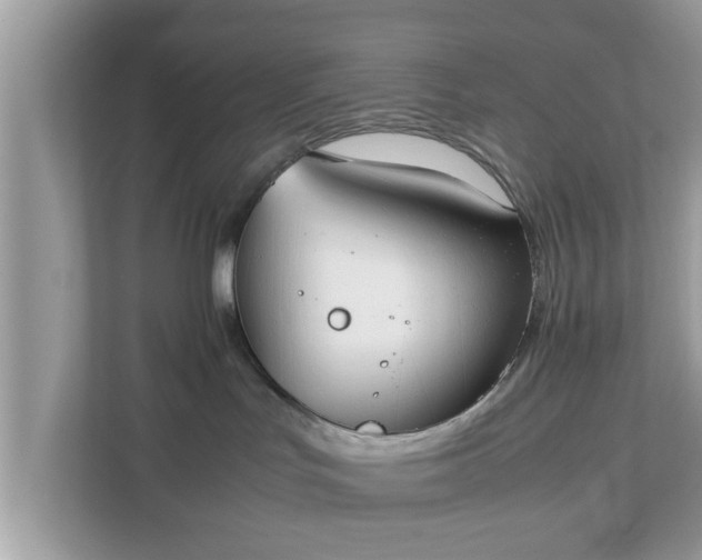 X0000111880047200907301146