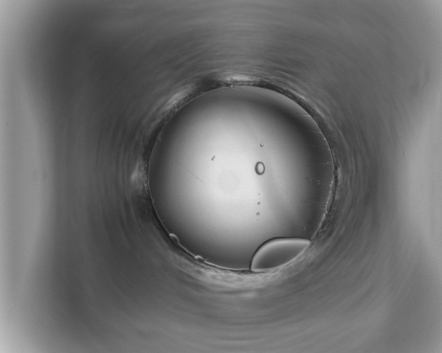 X0000111880048200907301146