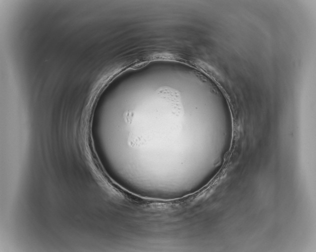 X0000111880049200907301145