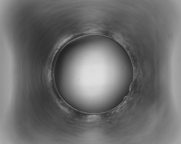 X0000111880050200907301145