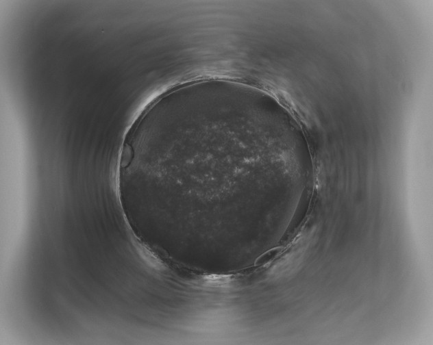 X0000111880052200907301145