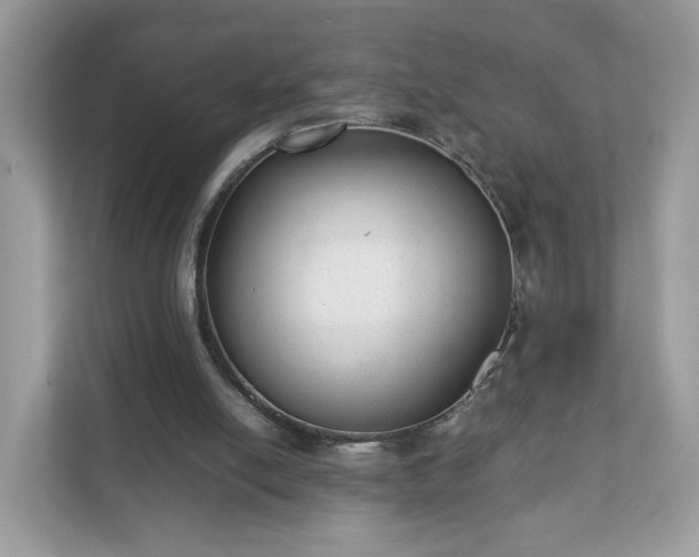 X0000111880054200907301145