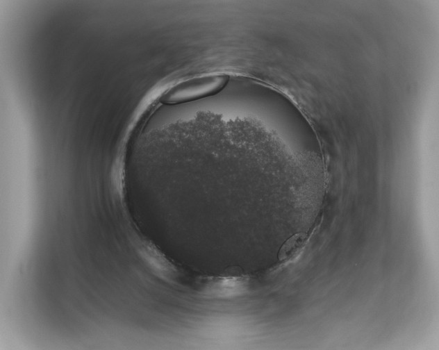 X0000111880056200907301145