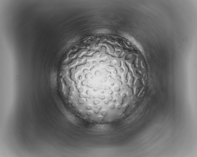 X0000111880057200907301145