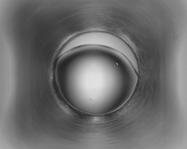 X0000111880060200907301145