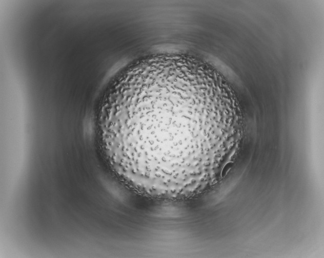 X0000111880064200907301145