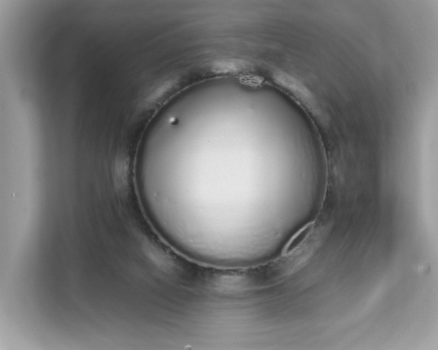 X0000111880066200907301145