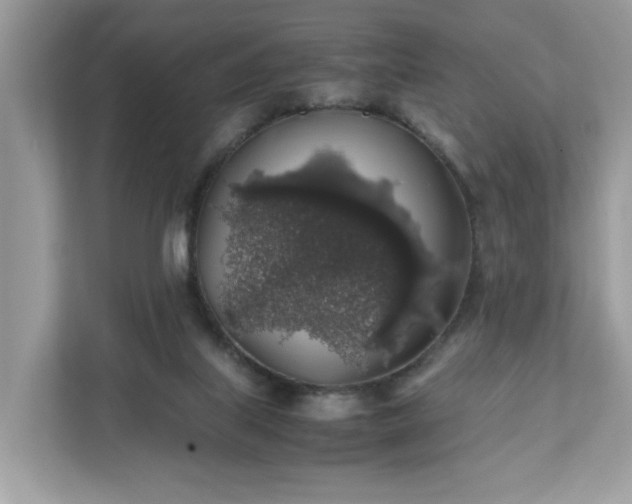 X0000111880067200907301145