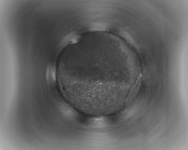 X0000111880068200907301145