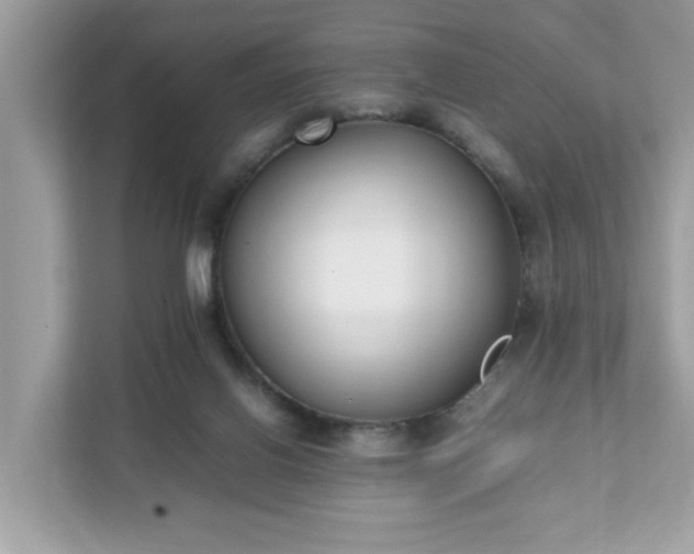 X0000111880070200907301145
