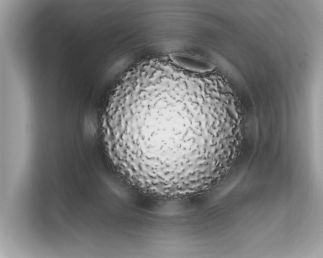 X0000111880072200907301145