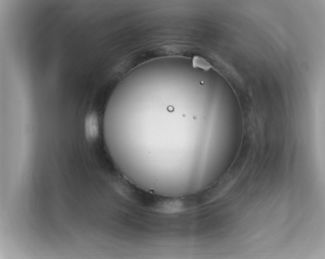 X0000111880075200907301145