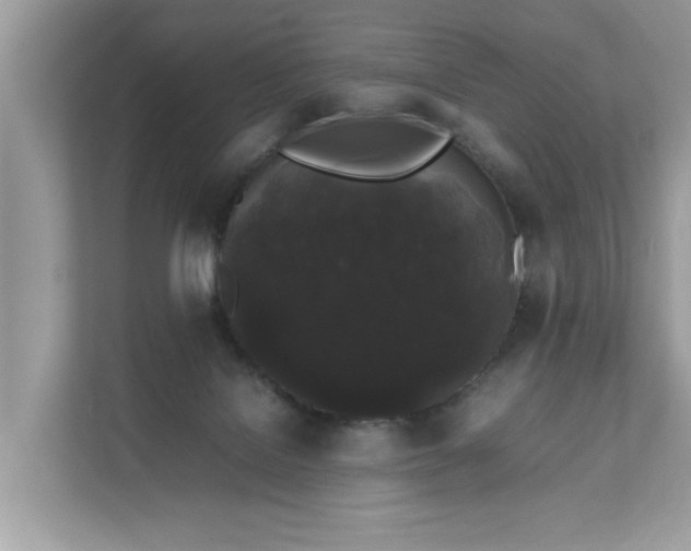 X0000111880076200907301145