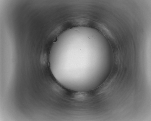 X0000111880077200907301145