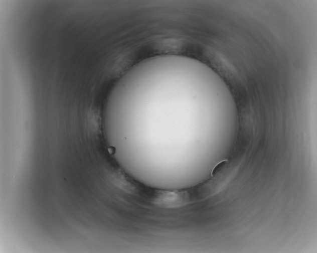 X0000111880083200907301145