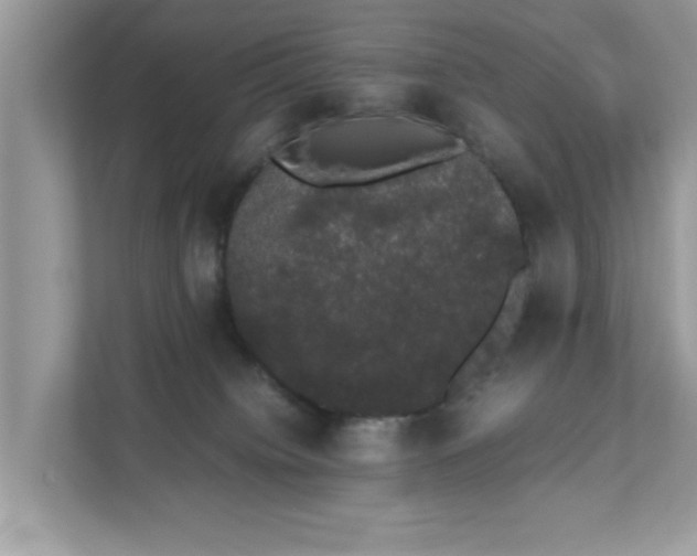 X0000111880084200907301145