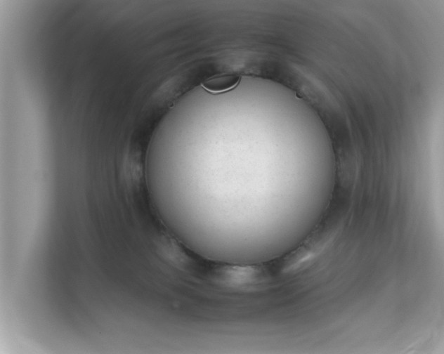 X0000111880085200907301145