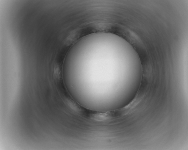 X0000111880086200907301145