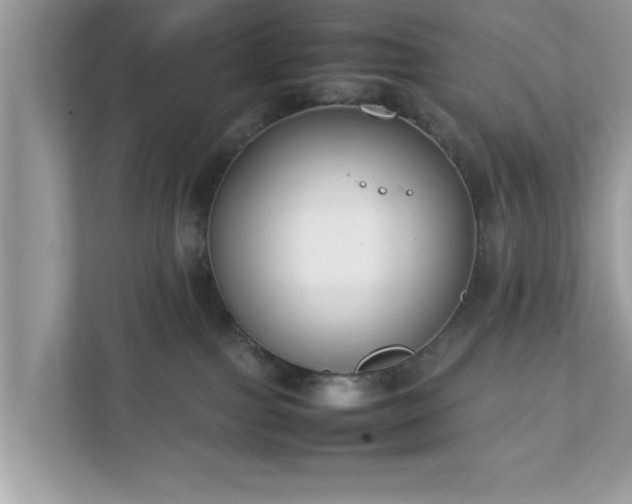 X0000111880091200907301146