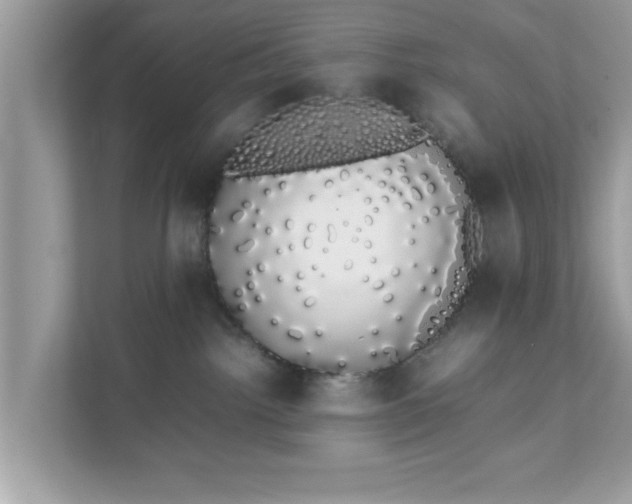 X0000111880092200907301146