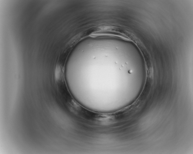 X0000111880095200907301146