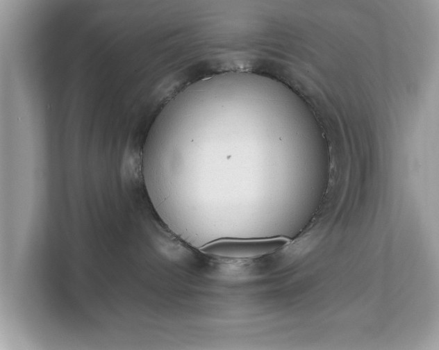 X0000111880096200907301146