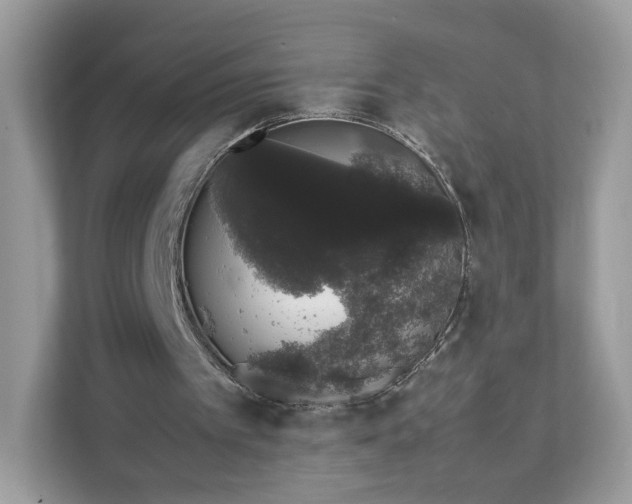 X0000111880097200907301145