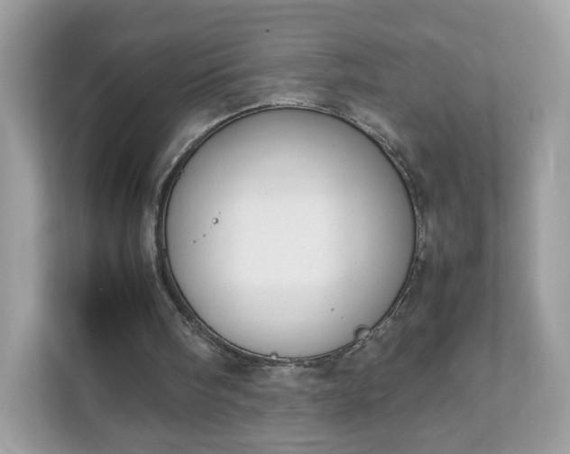 X0000111880098200907301145