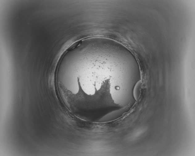 X0000111880099200907301145