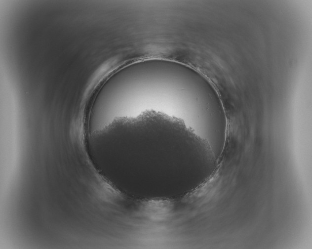 X0000111880101200907301145
