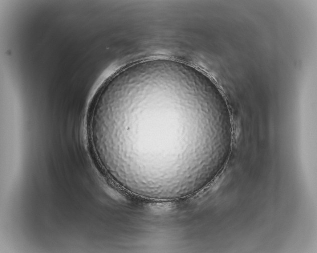 X0000111880102200907301145