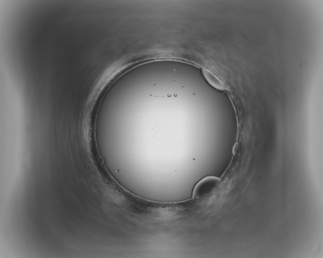 X0000111880103200907301145