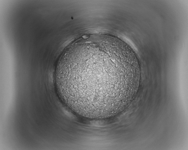 X0000111880105200907301145