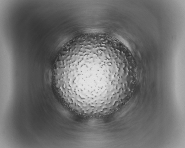 X0000111880109200907301145