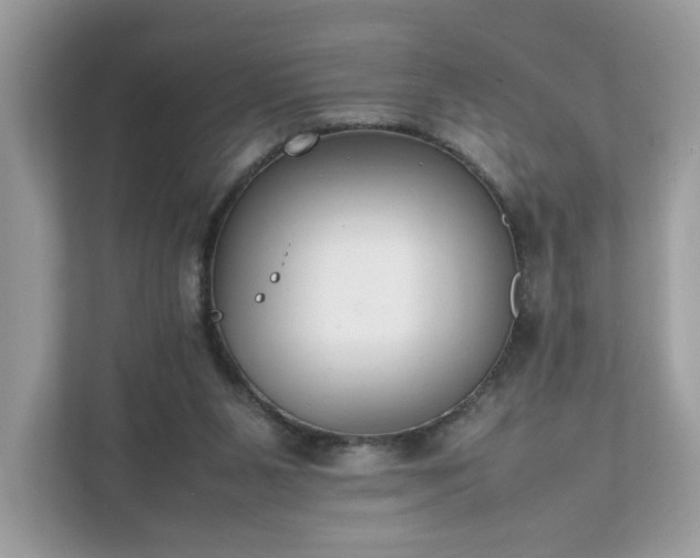 X0000111880111200907301145