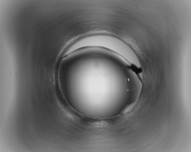 X0000111880112200907301145